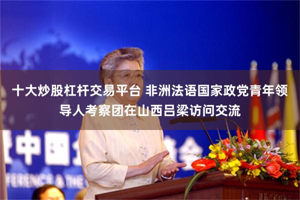 十大炒股杠杆交易平台 非洲法语国家政党青年领导人考察团在山西吕梁访问交流