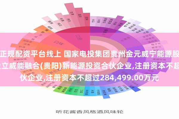 正规配资平台线上 国家电投集团贵州金元威宁能源股份有限公司拟投资设立威能融合(贵阳)新能源投资合伙企业,注册资本不超过284,499.00万元