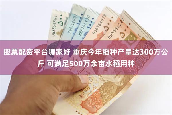 股票配资平台哪家好 重庆今年稻种产量达300万公斤 可满足500万余亩水稻用种