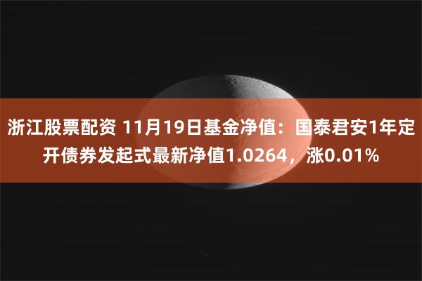 浙江股票配资 11月19日基金净值：国泰君安1年定开债券发起式最新净值1.0264，涨0.01%