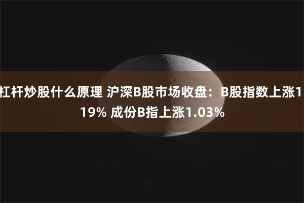 杠杆炒股什么原理 沪深B股市场收盘：B股指数上涨1.19% 成份B指上涨1.03%