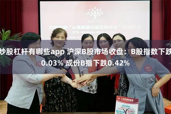 炒股杠杆有哪些app 沪深B股市场收盘：B股指数下跌0.03% 成份B指下跌0.42%