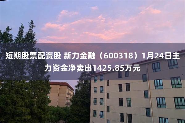 短期股票配资股 新力金融（600318）1月24日主力资金净卖出1425.85万元