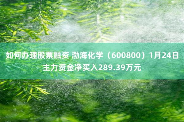 如何办理股票融资 渤海化学（600800）1月24日主力资金净买入289.39万元